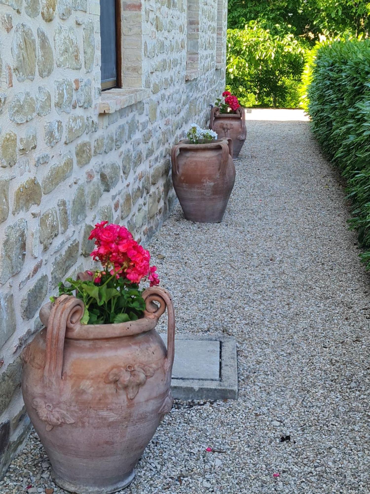 La Mela Rosa Bed & Breakfast Amandola Eksteriør bilde